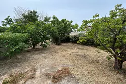 Vente terrain Roquebrune-sur-Argens  