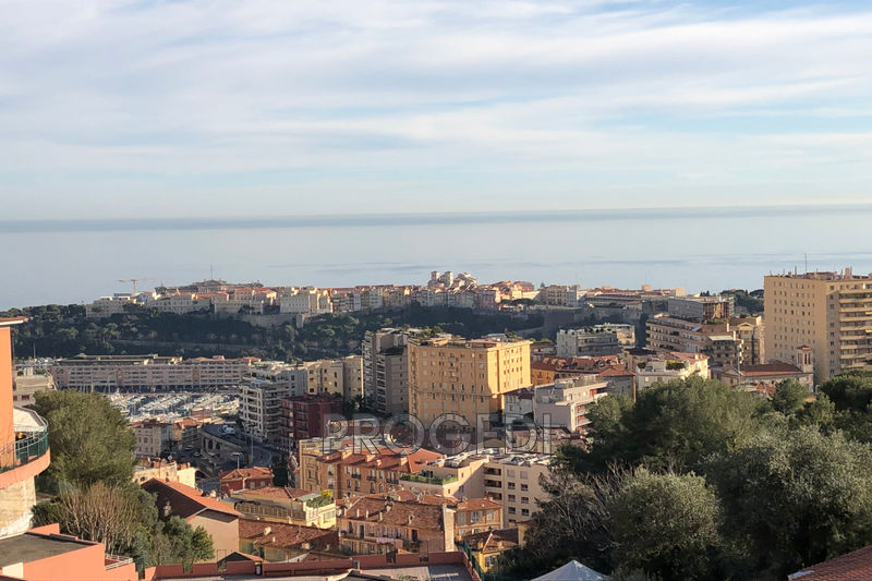 Photo Apartment Beausoleil Bellevue, Rentals apartment 3 rooms 70 m²