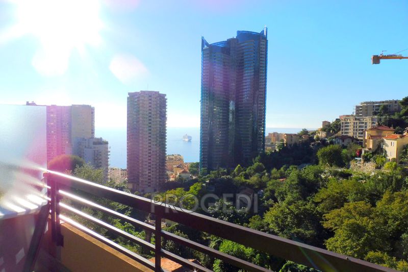 Photo Appartement Beausoleil Guynemer, Location appartement 1 pièce 24 m²