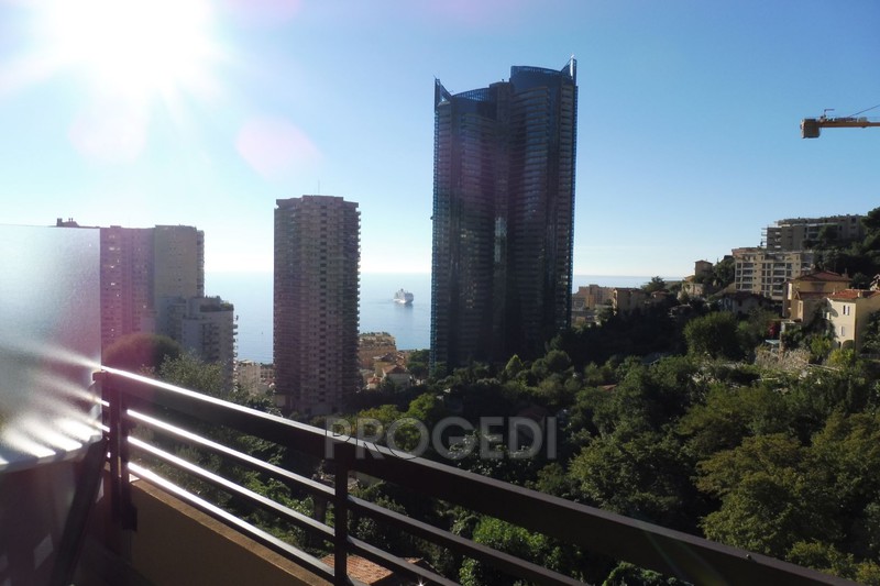Photo Appartement Beausoleil Guynemer, Location appartement 1 pièce 25 m²