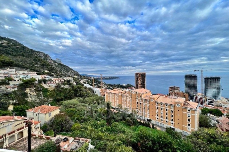 Photo Apartment Beausoleil Guynemer, Rentals apartment 2 rooms 50 m²