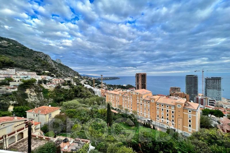 Photo Appartement Beausoleil Guynemer,  Location appartement  2 pièces   50&nbsp;m&sup2;