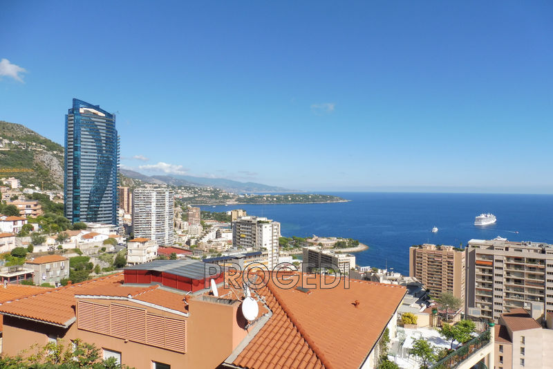 Photo Mansion Beausoleil to buy mansion 5 bedroom 270 m²