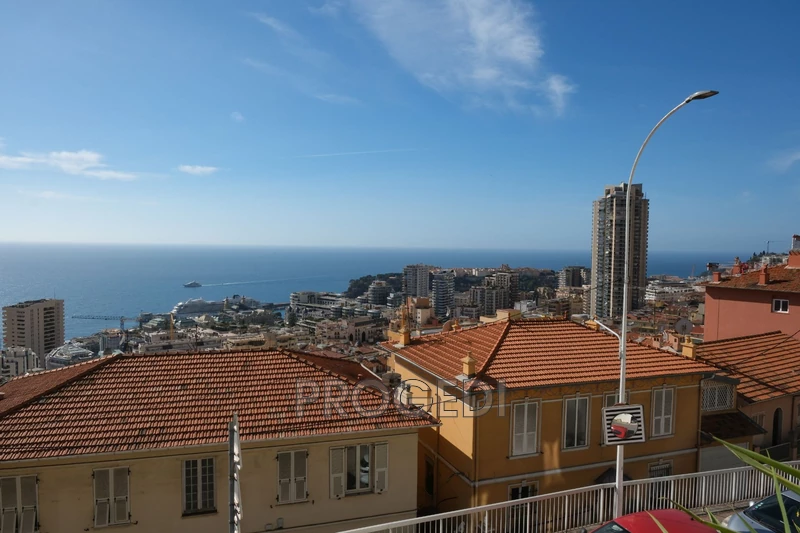 Photo Appartement Beausoleil Centre-ville,   achat appartement  5 pièces   140&nbsp;m&sup2;