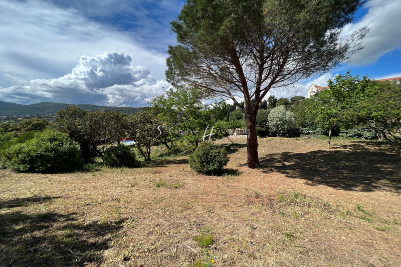 Photo n°8 - Vente terrain La Croix-Valmer 83420 - 1 300 000 €