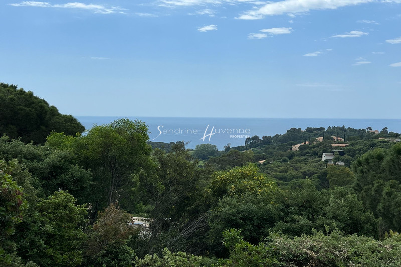Photo n°3 - Vente maison La Croix-Valmer 83420 - 1 490 000 €