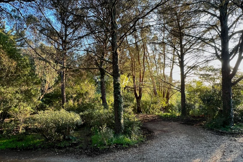 Vente maison de caractère La Croix-Valmer  