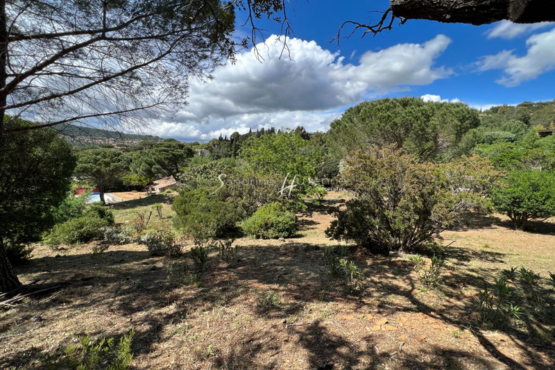 Photo n°18 - Vente terrain La Croix-Valmer 83420 - 1 250 000 €