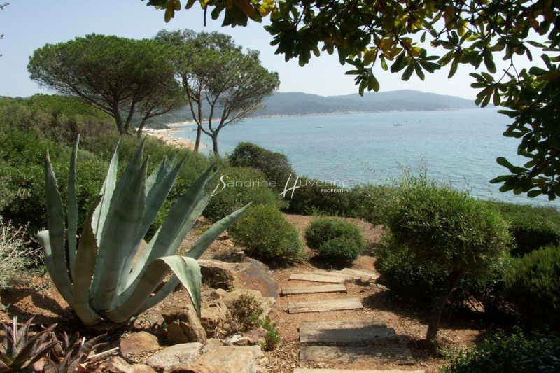 Photo Propriété La Croix-Valmer Bord de mer, to buy propriété 4 bedrooms