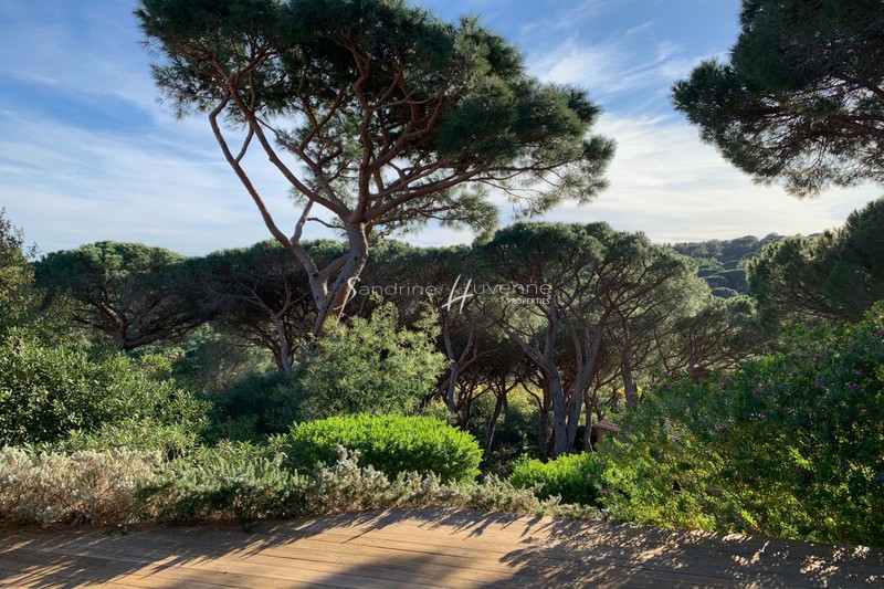 Photo Apartment La Croix-Valmer Proche plages, to buy apartment 2 rooms 43 m²