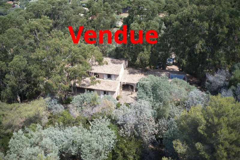 vente La croix-valmer Bord de mer Villa La Croix-Valmer Bord de mer, achat villa 6 chambres 230 m²