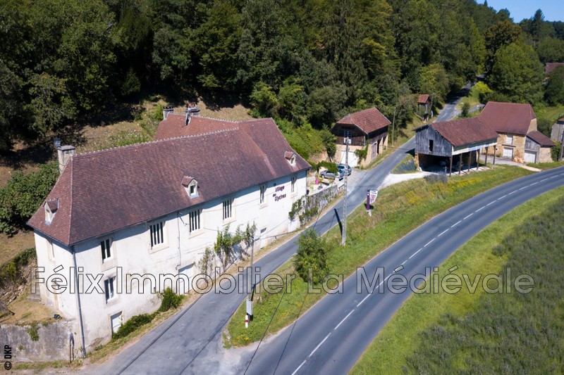 Photo Maison d'hôtes Carsac-Aillac Village, to buy maison d'hôtes 5 bedroom 280 m²