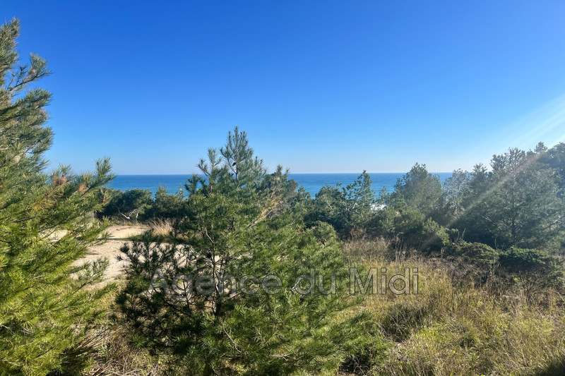 Vente terrain constructible Leucate  