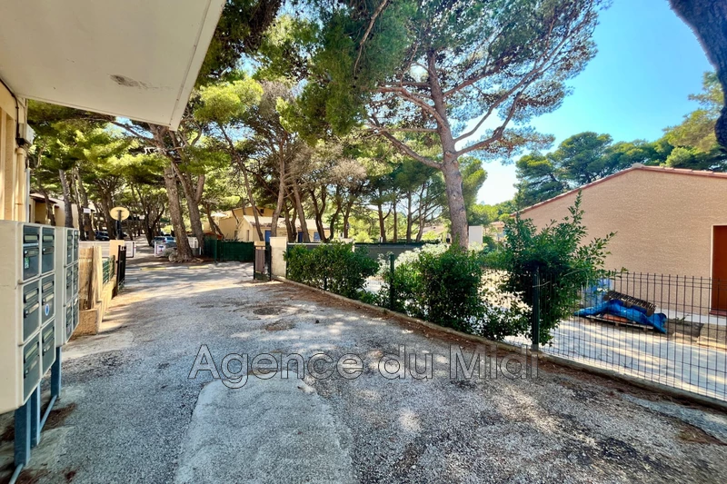 Vente studio cabine La Franqui  