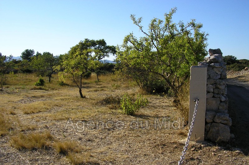 Photo Terrain de loisirs Leucate Leucate village, achat terrain de loisirs 1221 m²