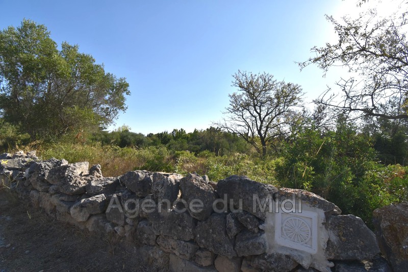 Photo Terrain de loisirs Leucate Leucate village,   achat terrain de loisirs   406&nbsp;m&sup2;