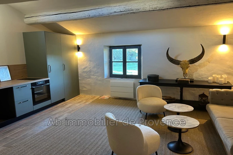Vente appartement Lourmarin  