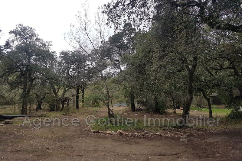 Photo Terrain Argelès-sur-Mer achat terrain 1940 m²