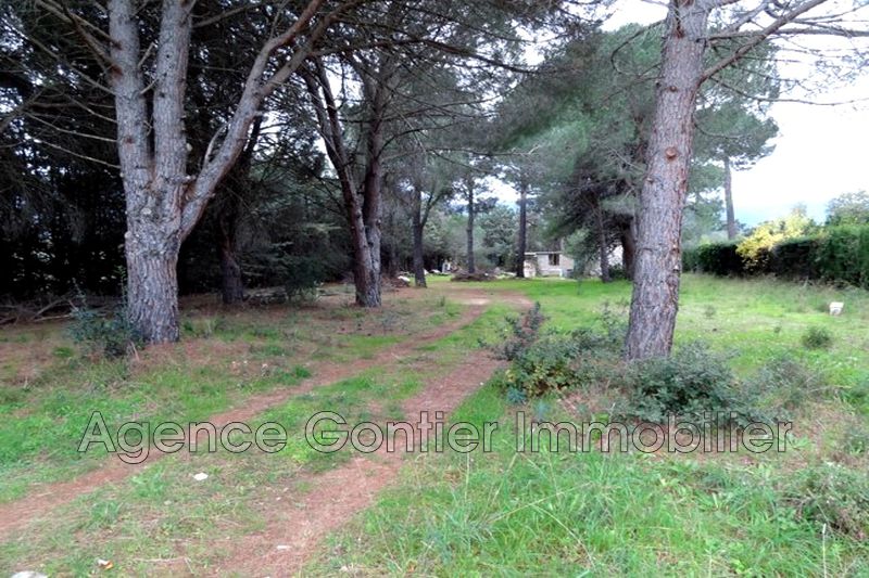 Photo Land Argelès-sur-Mer to buy land 2160 m²