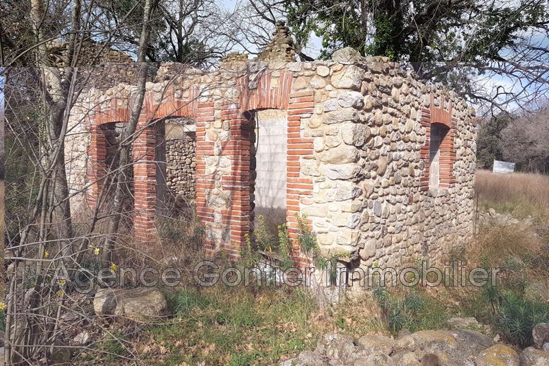 Photo Terrain Argelès-sur-Mer achat terrain 15000 m²
