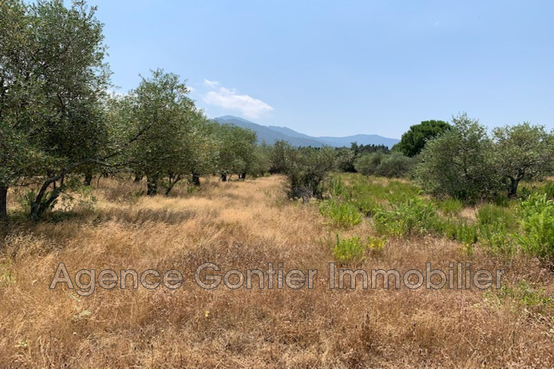Photo Terrain Argelès-sur-Mer Les albères, achat terrain 1600 m²