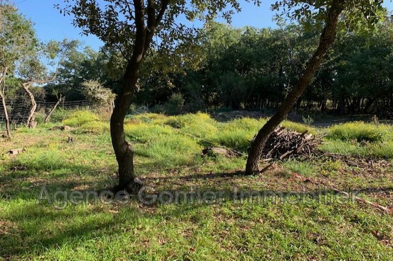Photo Land Argelès-sur-Mer Les albères, to buy land 1070 m²