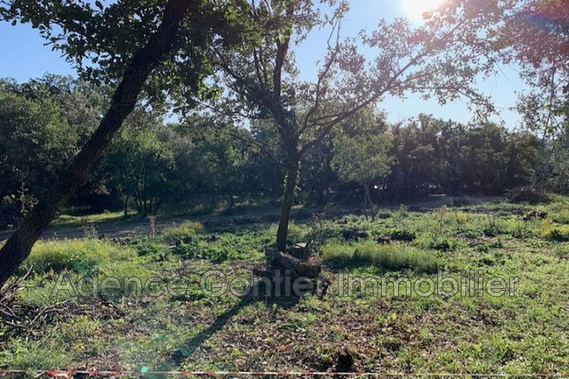 Photo Land Argelès-sur-Mer Les albères, to buy land 1779 m²