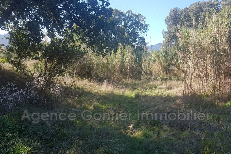 Photo Terrain St andre Les albères, achat terrain 2200 m²