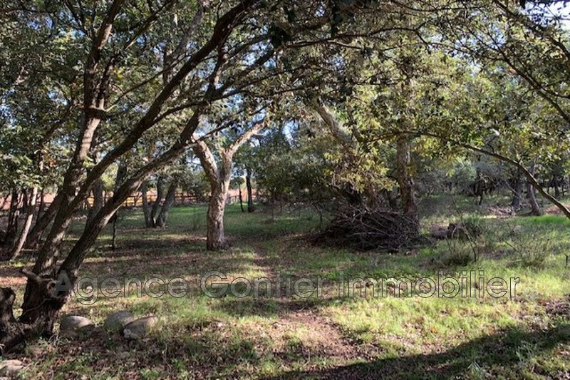 Photo Terrain Argelès-sur-Mer Les albères, achat terrain 1354 m²