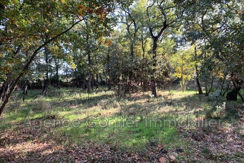 Photo Terrain Argelès-sur-Mer Proche plages, achat terrain 1636 m²