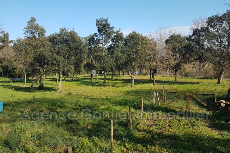 Photo Terrain Argelès-sur-Mer Les albères, achat terrain 8000 m²