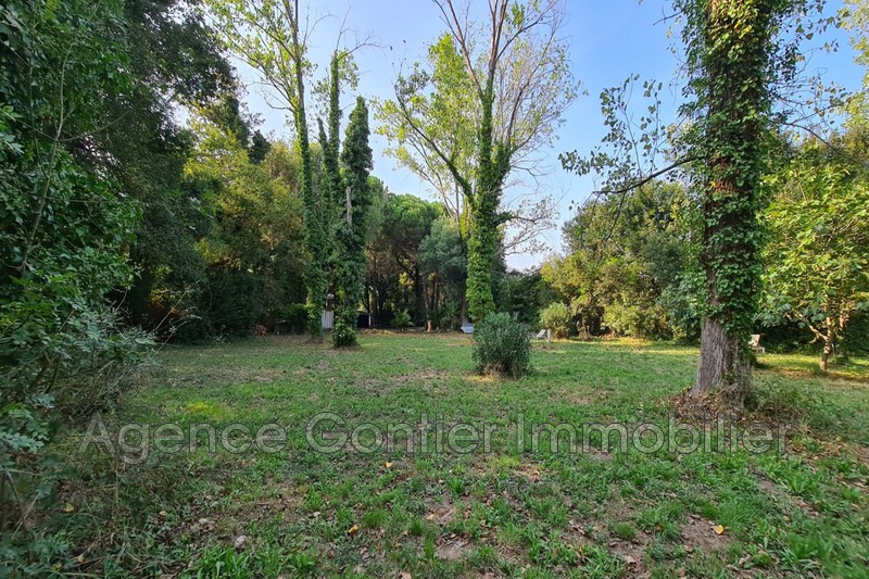 Photo Terrain de loisirs Argelès-sur-Mer Proche plages, achat terrain de loisirs 6091 m²