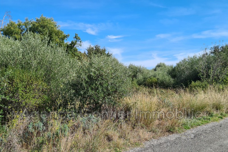 Photo Terrain à bâtir Argelès-sur-Mer to buy terrain à bâtir 1086 m²