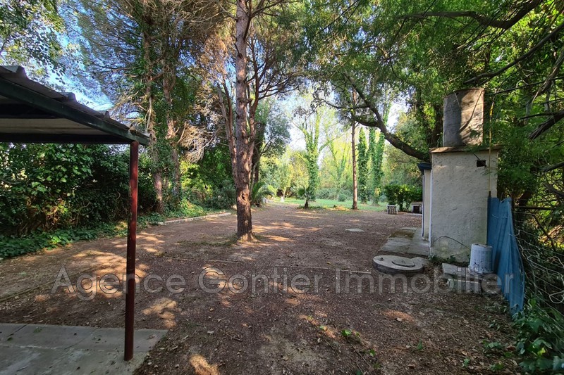 Photo Terrain de loisirs Argelès-sur-Mer Proche plages, achat terrain de loisirs 6091 m²