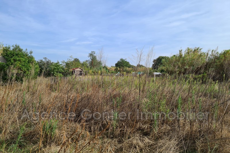 Photo Terrain Argelès-sur-Mer Village, achat terrain 750 m²