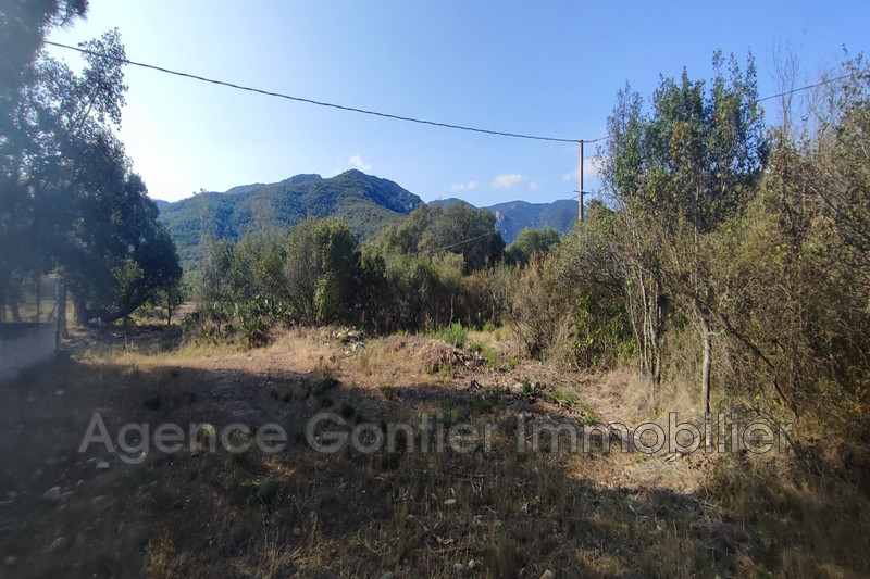 Photo Terrain Argelès-sur-Mer   achat terrain   1800&nbsp;m&sup2;