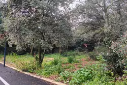 Vente terrain Villeneuve-lès-Avignon  