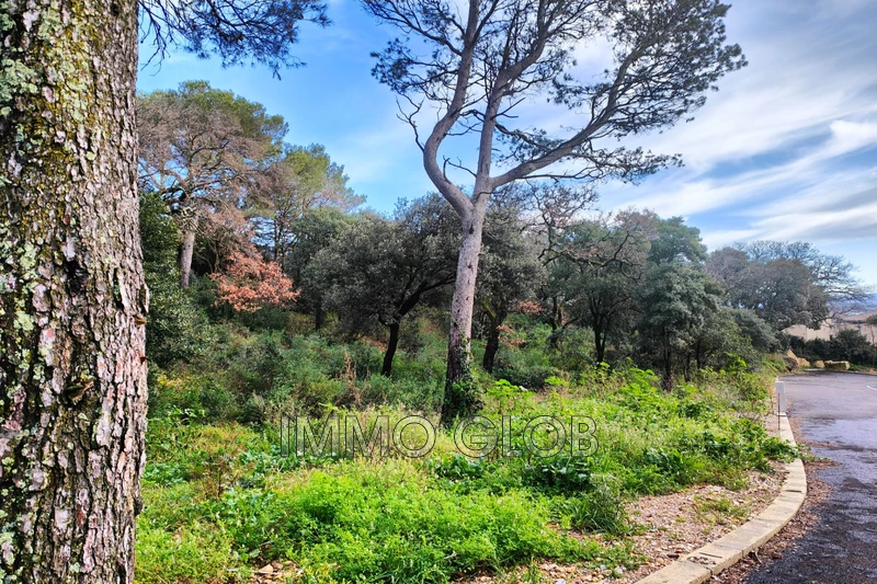 Vente terrain Villeneuve-lès-Avignon  