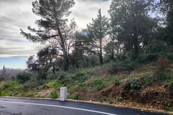 Vente terrain Villeneuve-lès-Avignon  