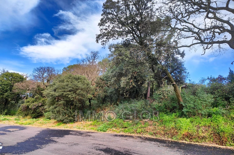 Vente terrain Villeneuve-lès-Avignon  