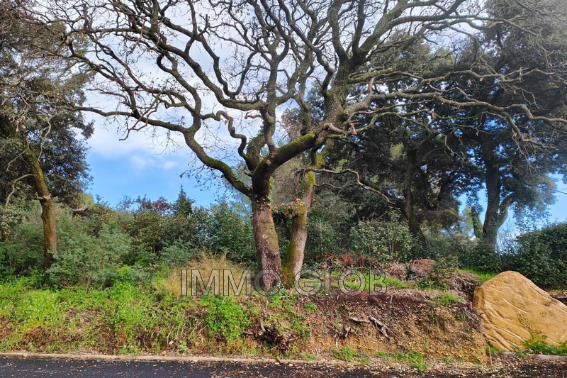 Vente terrain Villeneuve-lès-Avignon  