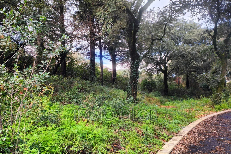 Vente terrain Villeneuve-lès-Avignon  