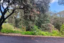 Vente terrain Villeneuve-lès-Avignon  