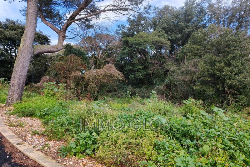 Vente terrain Villeneuve-lès-Avignon  