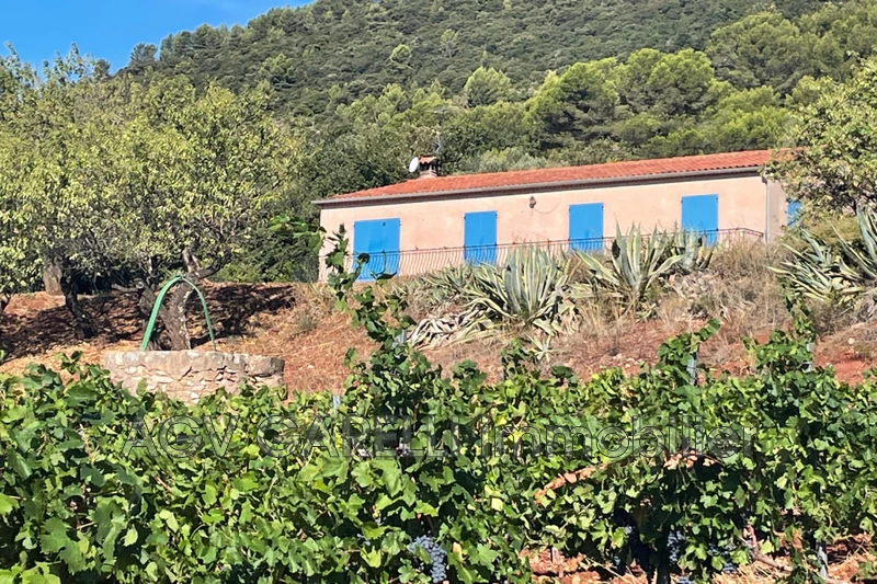 Location maison de campagne Puget-Ville  