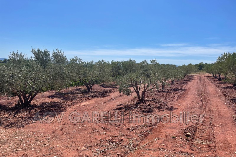 Photo n°17 - Location maison de campagne Puget-Ville 83390 - 1 750 €