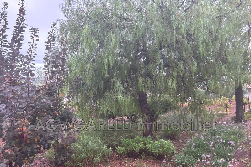 Photo n°24 - Location Maison villa Puget-Ville 83390 - 1 850 €