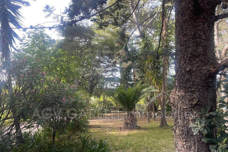 Photo n°2 - Vente appartement Toulon 83000 - 840 000 €