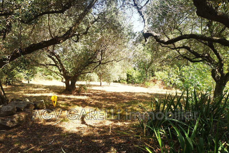 Photo n°6 - Vente appartement Toulon 83000 - 840 000 €