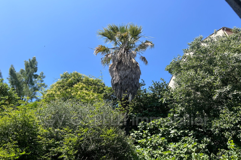 Photo n°20 - Vente appartement Hyères 83400 - 318 000 €